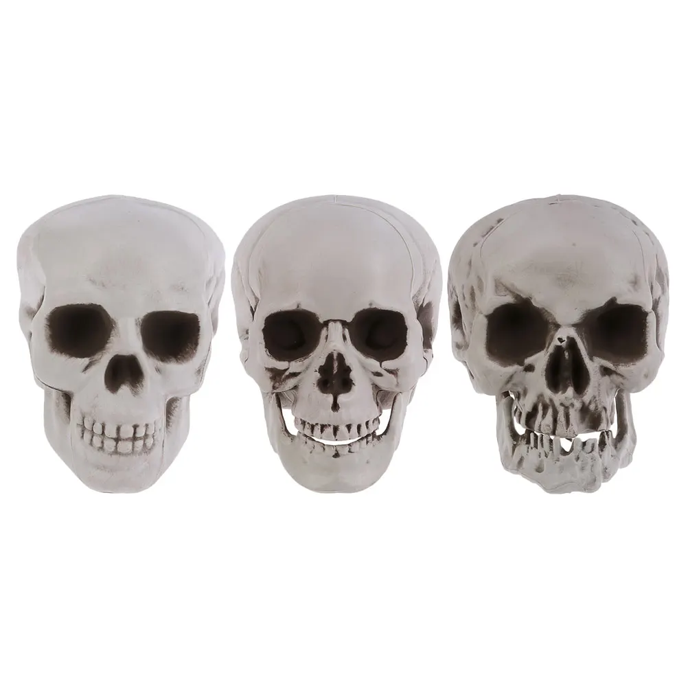 

3 Pcs Skull Props Decorations Fake Skulls Plastic Model Halloween Heads Realistic Party for Models Mini Skulls Fake Skull Toys
