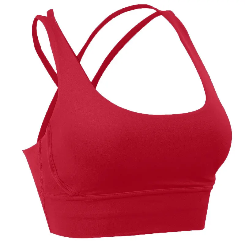 2024 nuovo reggiseno sportivo indietro Cross Yoga reggiseno Push Up antiurto Fitness palestra Fitness intimo Crop top donna pianura Yoga allenamento