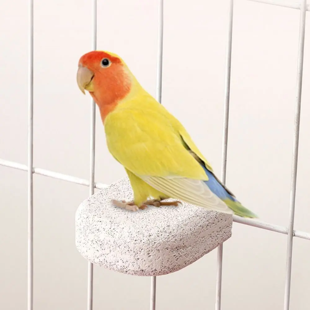 Bimsstein-Papageienständer, Zahnschleif- und Krallenschleifbrett, abnehmbare Vogelruheplattform zur Langeweilebekämpfung, Vogelsitzstange – Detail 7