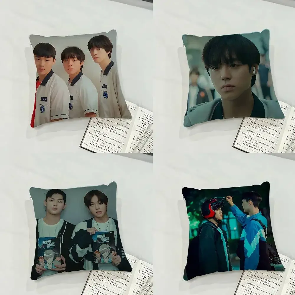TV W-Weak Hero Class 1 Case Plush Fabric Soft Pillowcase Double Sided Print Cushion Cover Household Gifts