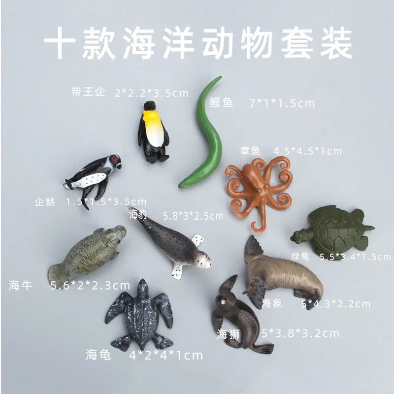 Miniature Sea Animals Action Figure Ocean World Teaching Aids Model Set Blue Whale Dolphin Biology Education Shark Toys Children