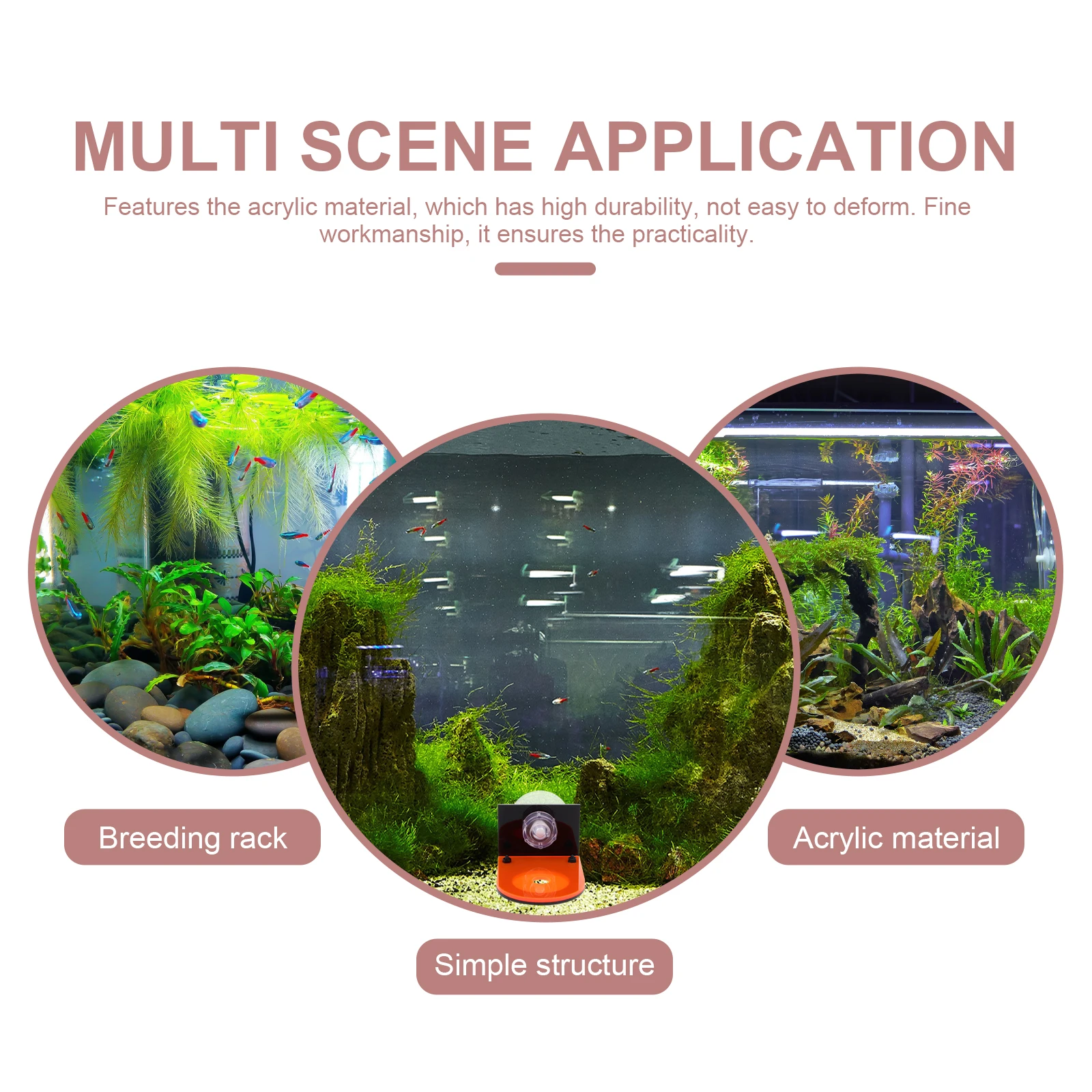 

Coral Base Aquarium Supply Fluorescent Red Coralline Plug Holder Fish Coral Holder Tank Decor Pet Accessories