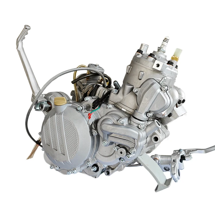 TS300 Two-stroke 300CC Engine Assembly