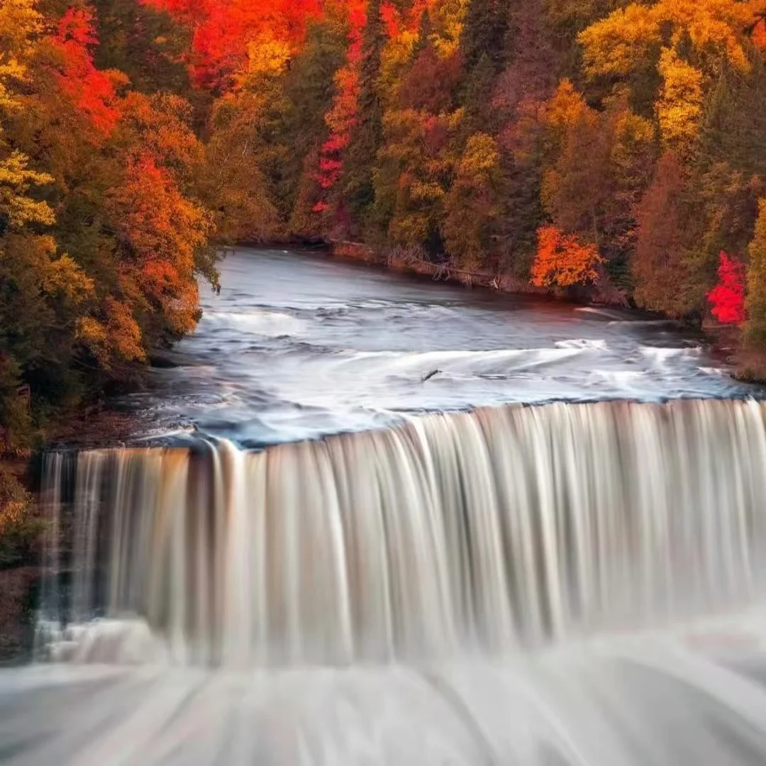 Láser de diodo de 980NM 6 en 1 para la eliminación de grasa localizada, venas varicosas, hongos en las uñas, eccema, herpes, dolor y fisioterapia