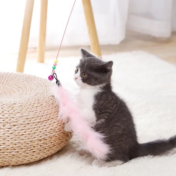 Cat Teaser Wand 1