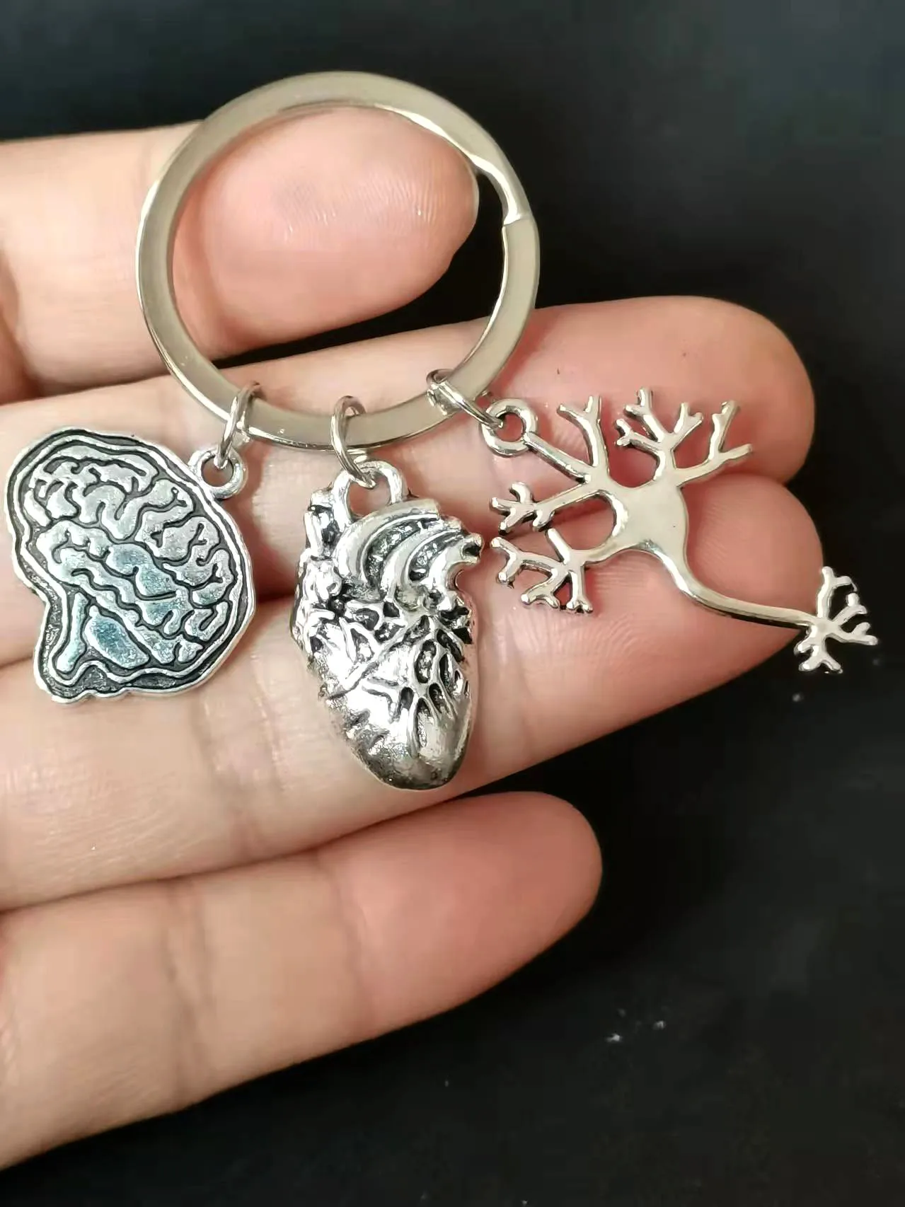 1 Piece Keychain Medical Anatomy Key Brain Heart Nerve Cell Shaped Keychain Doctor And Nurse Bag Chain Jewelry Gift