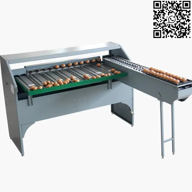 Automatic Egg Grading System Custom with Weight Sorter and Lighting Inspection Machine Poultry Farm Egg Processing Line