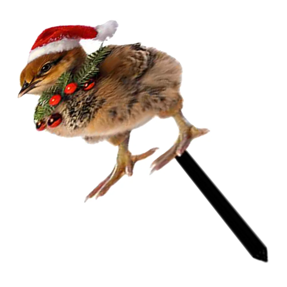 

Decorative Chicken Yard Sign Garden Metal Stakes Outdoor Lawn Ornament Garden Chicken Insert Christmas Decoration