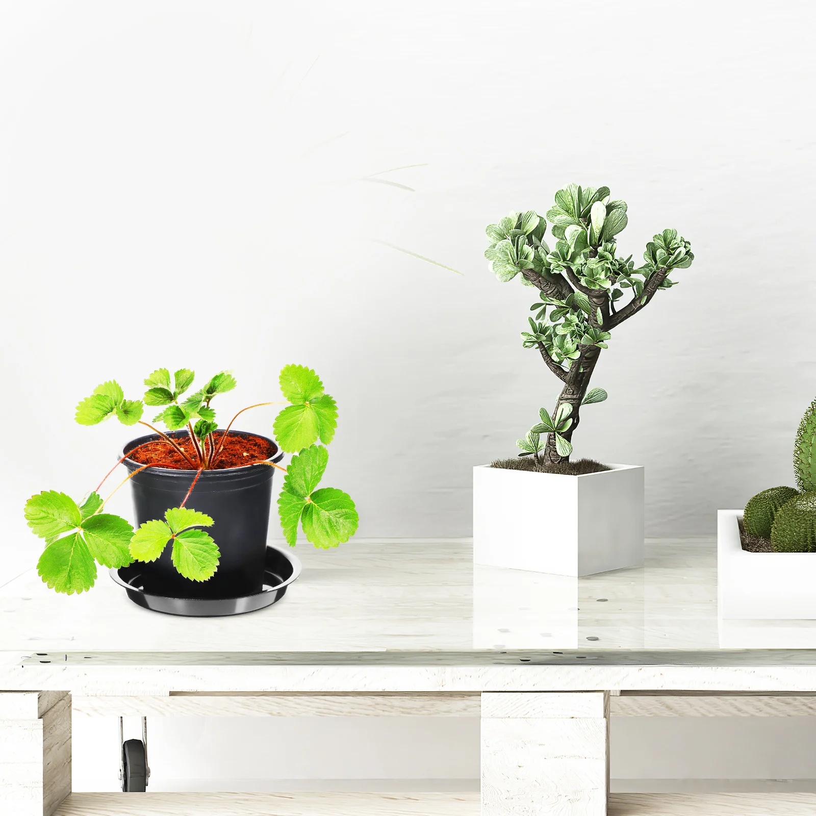 

10Pcs Plant Trays Large Saucers for Pots Flat Bottom Water Drainage Indoor Outdoor Garden Decor Plant Saucer Flower Pot Trays