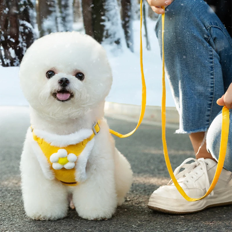 Adjustable Autumn Winter Dog Harness for Small Dogs Thickened Warm Dog Harness with Leash Pet Vest Chihuahua Bichon Accessories