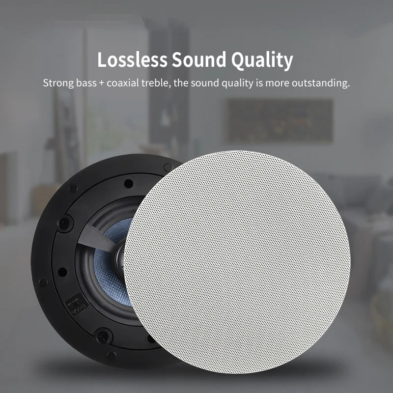 5.25  Coaxial High Fidelity Subwoofer Passive Full Range Ceiling Speaker Intelligent Home Background Music Theater Sound System