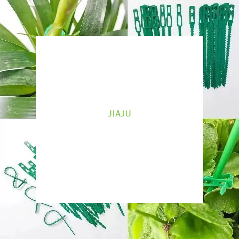~50pcs Adjustable Reusable Plastic Plant For Garden Tree Climbing Support Vine Tomato Stem Clips