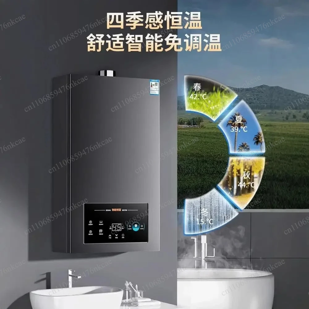 Variable Frequency Constant Temperature Instant Gas Water Heater