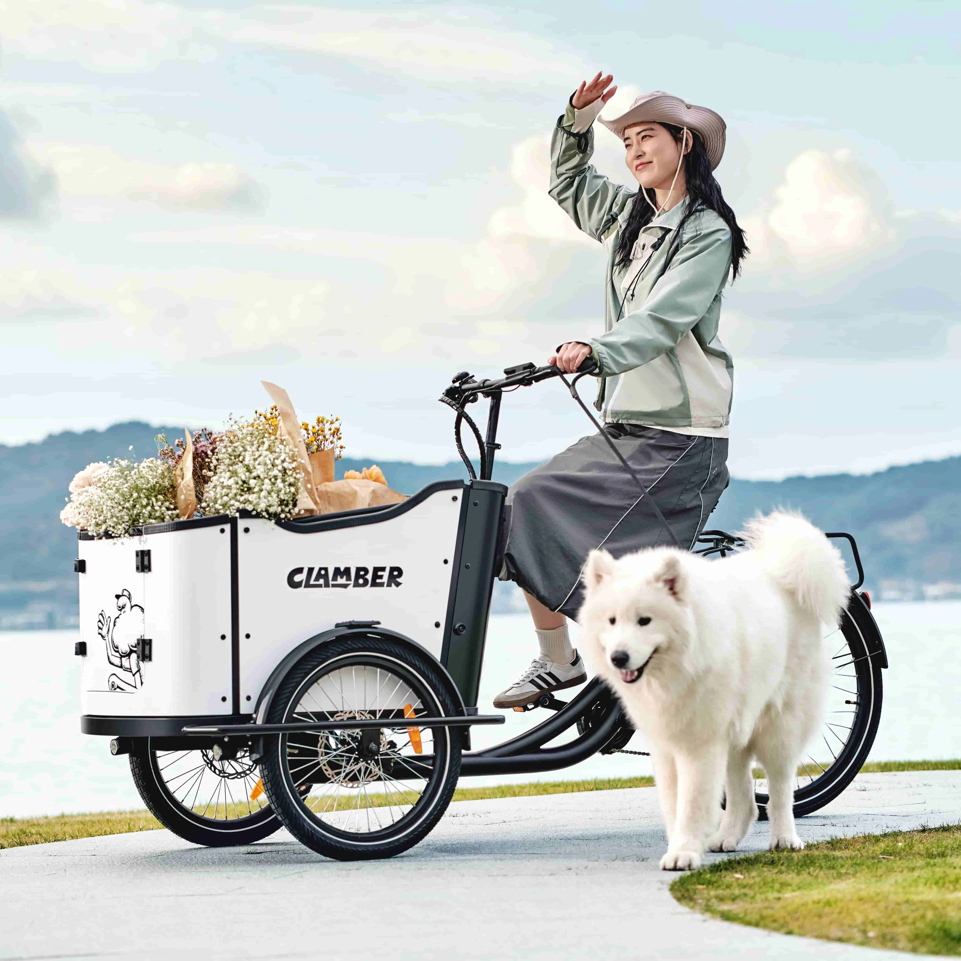 

Электрический грузовой велосипед с центральным двигателем 36В 250Вт для домашнего использования, грузоподъемность 150 кг