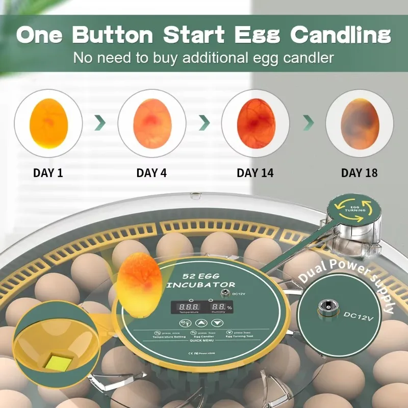 حاضنة بيض أوتوماتيكية صغيرة بقوة 52 بيضة مزدوجة لآلة تفريخ بيض الدواجن والبط #2