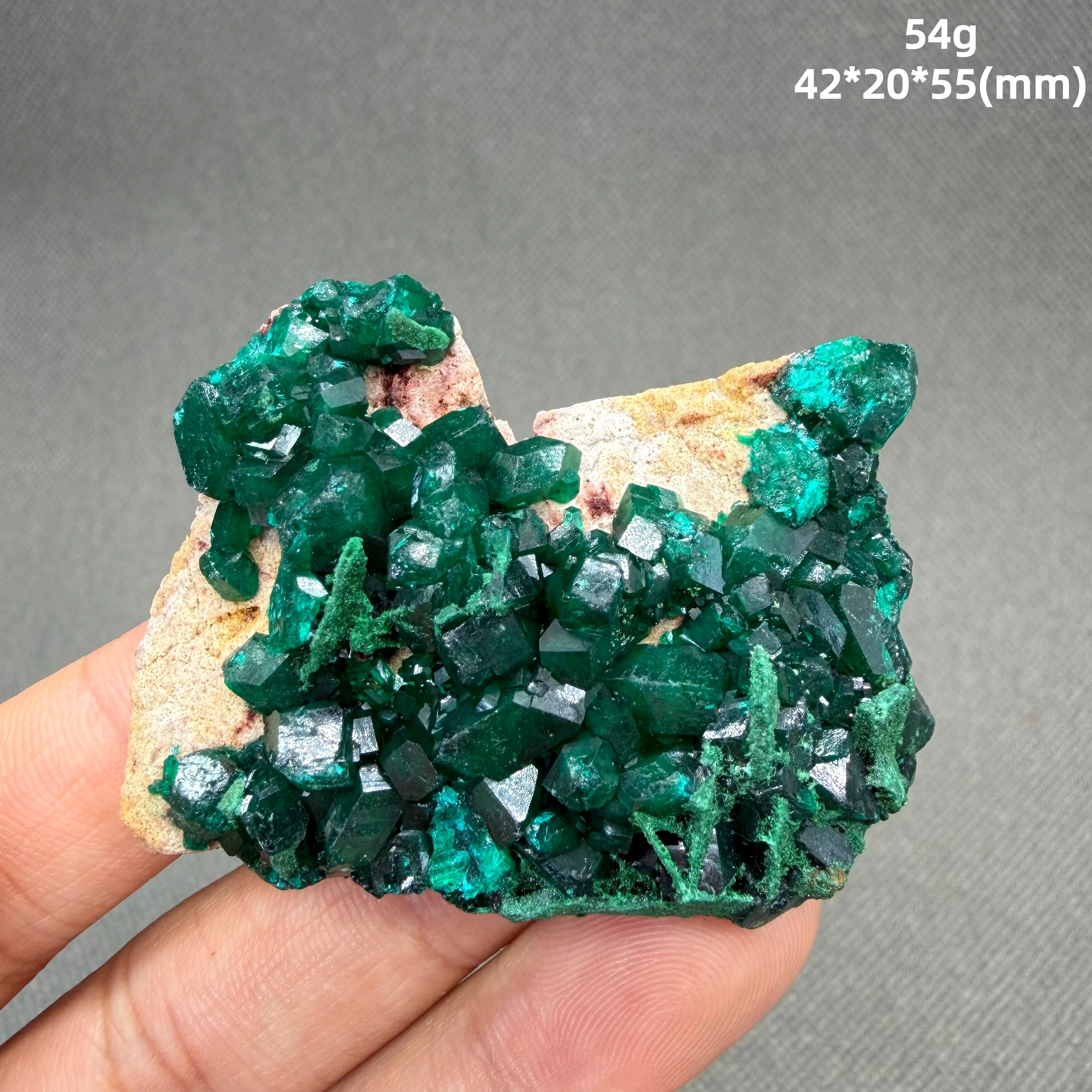Dioptasa Rara con Malaquita — Cristales Vívidos de Verde Esmeralda sobre Malaquita Verde Oscuro Aterciopelado — Par de Carbonato de Cobre Natural