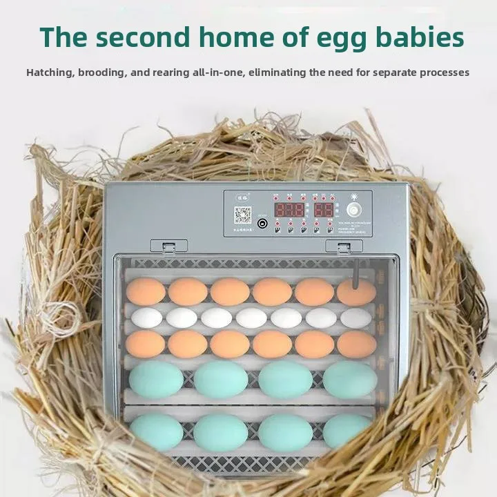 New  Small Fully Automatic Intelligent Egg Incubator for All Kinds of Poultry  with 98% Hatching Rate