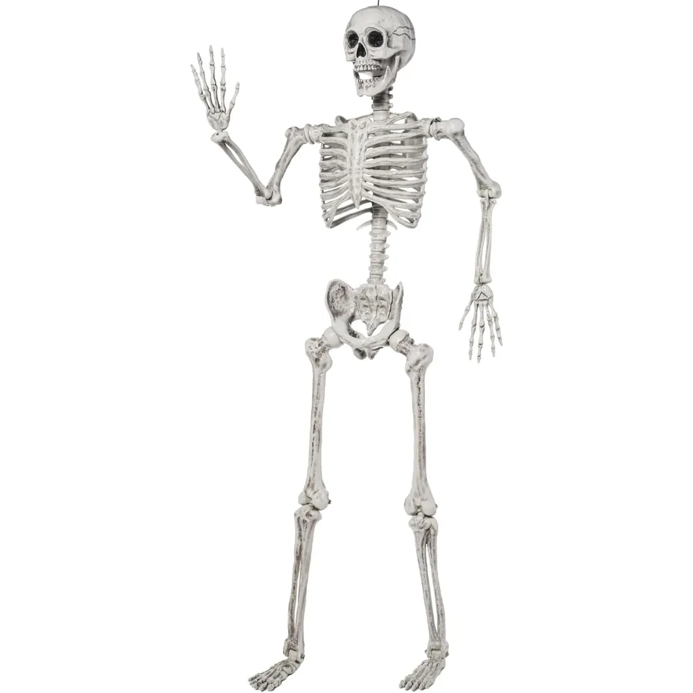 

5.6 FT Halloween Posable Life Size Skeleton Full Body Realistic Bones with Movable Joints for Halloween Graden Decoration