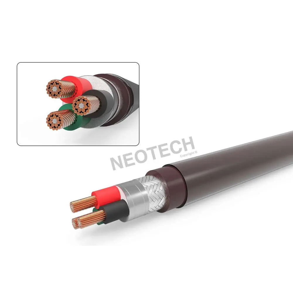 Taiwan Neotech Wanlong NEP-3001G Series Graphene Single Crystal Copper Hi-Fi Audio Power Cord