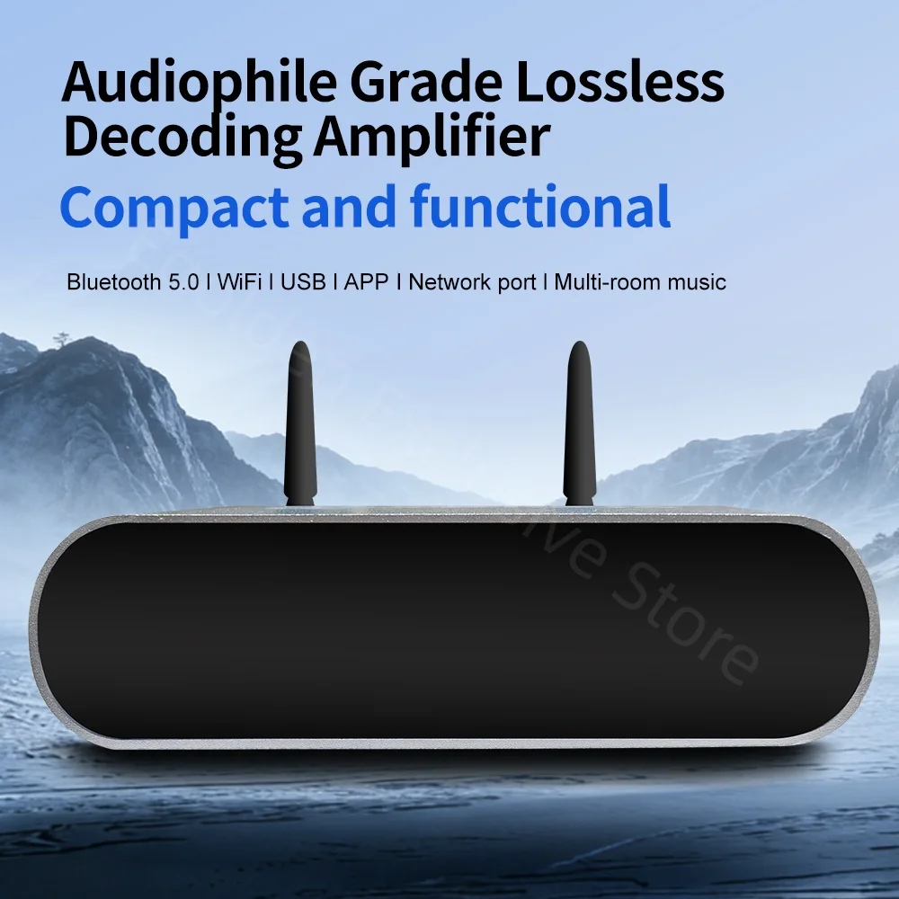 

Аудиоусилитель EMIUZEK WA20 Hi-Fi, беспроводной USB-ресивер с Wi-Fi и Bluetooth 5.0, мини-аудиоусилитель с поддержкой AirPlay и DLNA для домашних колонок