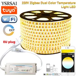 220V Tuya WiFi 1-15m RGB/CCT Podwójna biała dioda LED 5050SMD Taśma LED Adust Color Dimmer Sterowanie głosowe dla Smart Life Alexa Outdoor