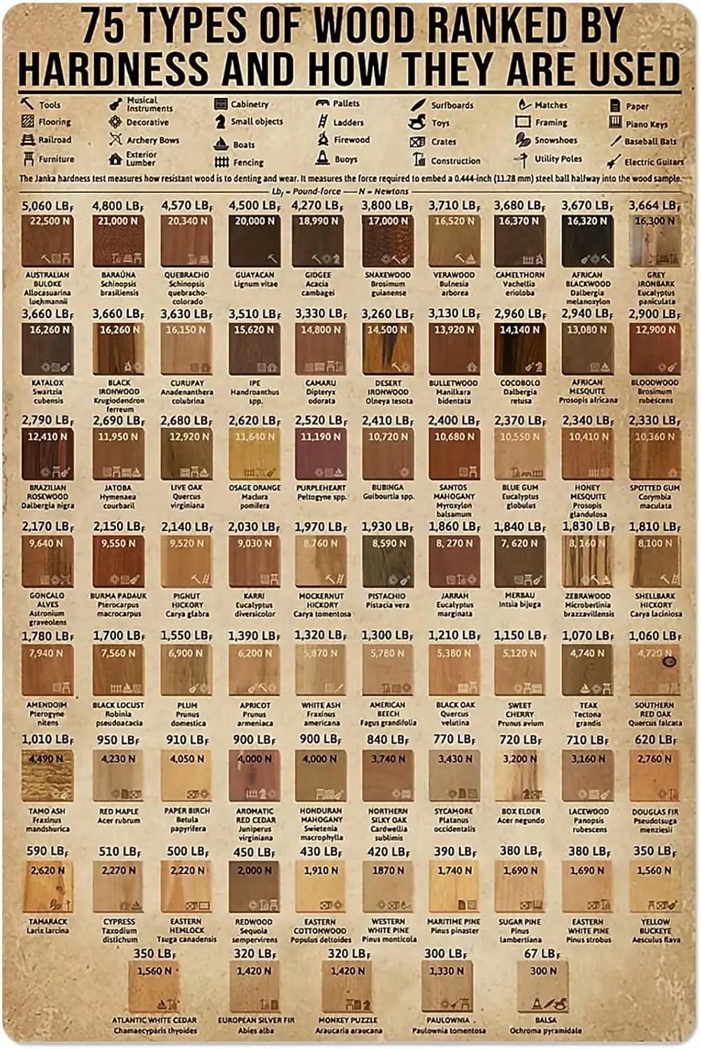 1p, Types de bois, dureté et utilisation, panneau en métal, connaissances à l'ancienne, affiche de vulgarisation scientifique, tableau d'information, maison, ferme, école, G