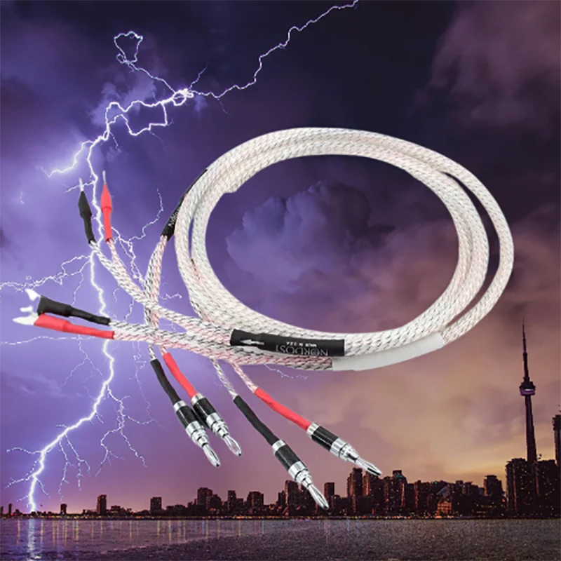 

Premium Black Shielded Copper Speaker Cable Duo Featuring Banana to Spade Terminals, Valhalla Series Audio Connectors