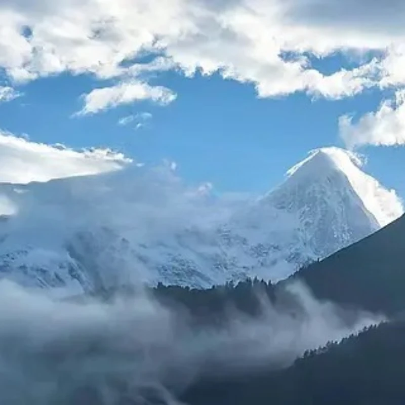 

GEP-MK5D O3 DeadCat Frame 5-дюймовая рамка GEP-MK5X O3 для O3 Air Unit RC DIY FPV Racing Drone GEPRC GEP MK5D