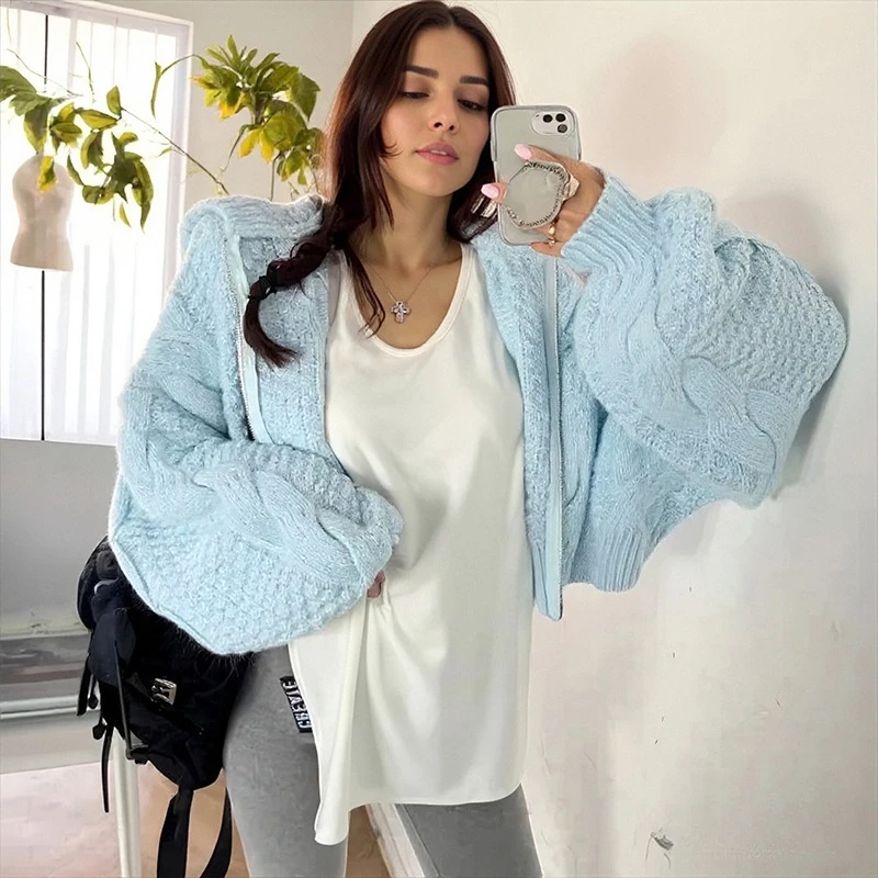 Autumn Solid Crop Top New Fashion Long Sleeve Zipper Knitted Cardigan Women Casual Loose Hooded Women's Short Sweater Jacket