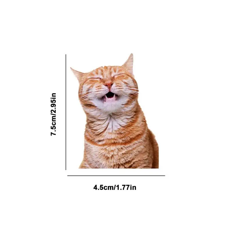 Stiker kucing lucu 66 buah stiker anak kucing lucu stiker hewan menyenangkan untuk botol air Laptop telepon buku tempel koper Jurnal