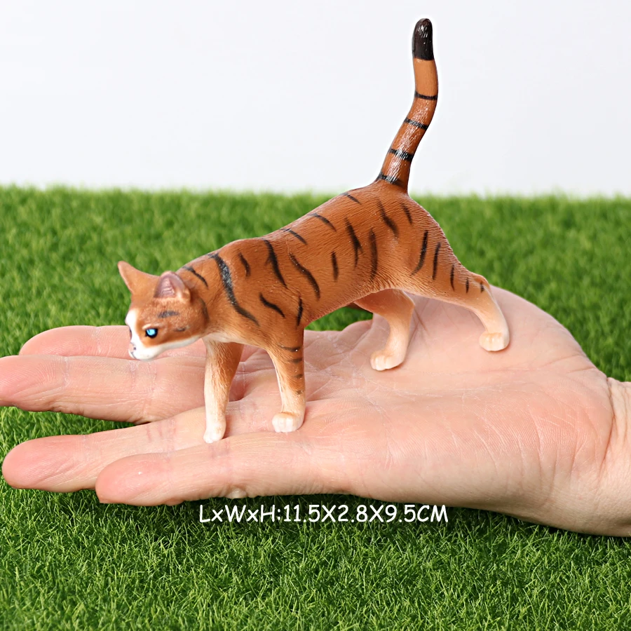 Cat -24