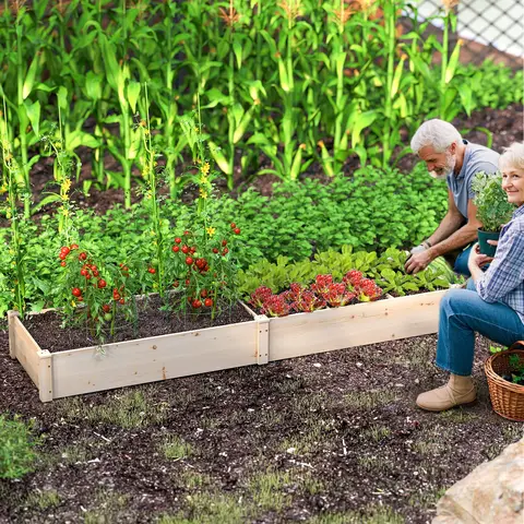 10 best sales trädgårdsbäddar - №4