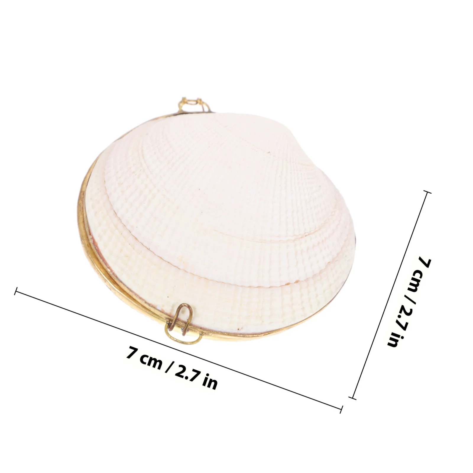 7-8 سنتيمتر البطلينوس الطبيعي شل صندوق مجوهرات جميل اللون حقيبة للتخزين للخواتم القلائد أقراط منظمة السفر المنزلية #2