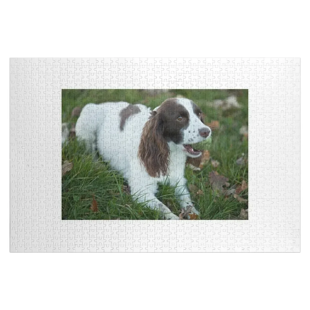 

Springer Spaniel 11 Jigsaw Puzzle Custom Child Novel Toys For Children 2022 Personalised Jigsaw Puzzle