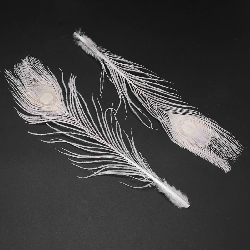 100 PCS/Natural White Peacock Feathers in the Eye, 10 to 12 Inches of the Peacock Feather Wedding Decoration