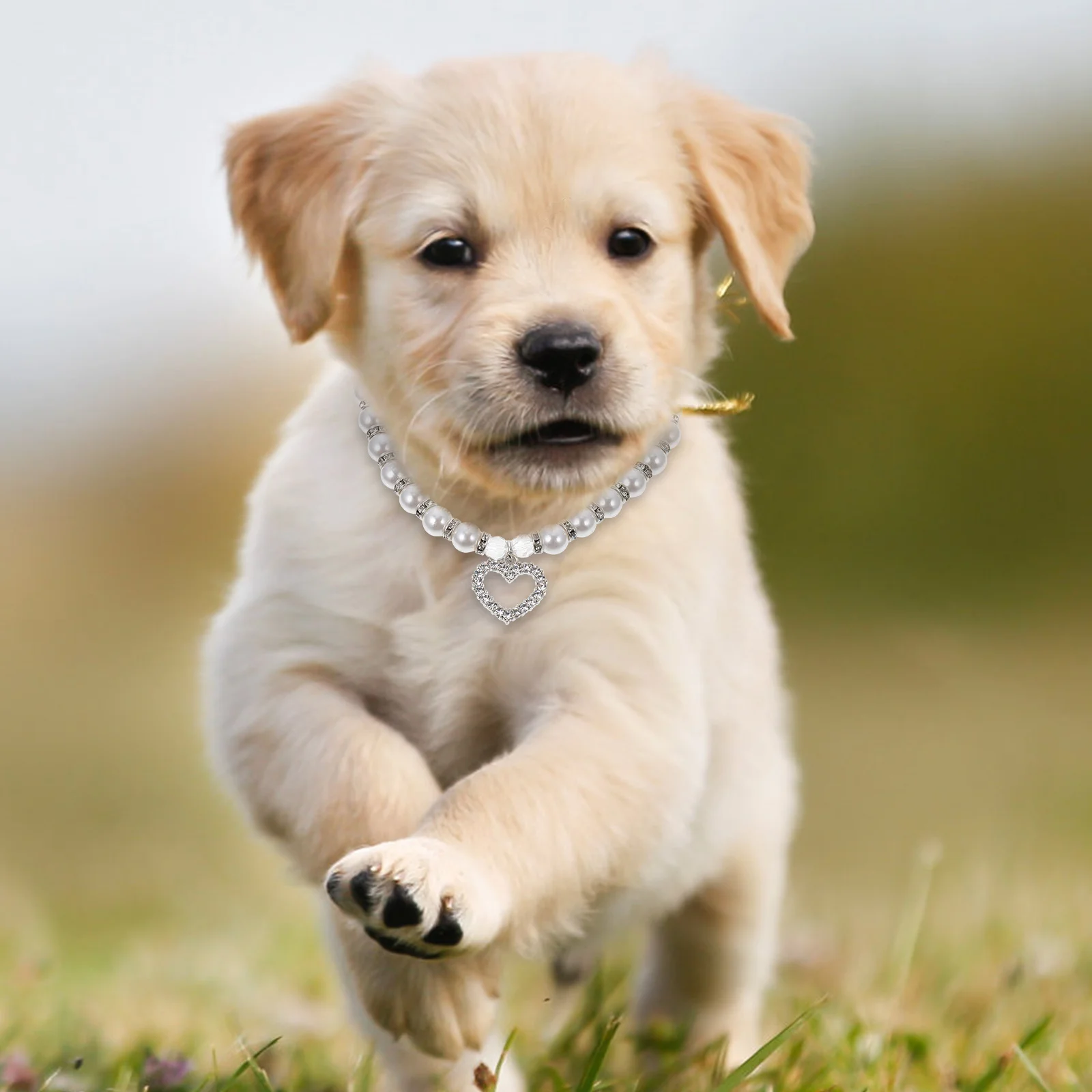 

White Pearl Dog Necklace Copper Pet Collar Lightweight Comfortable Durable PuppyAccessory DogCollar PetSupplies