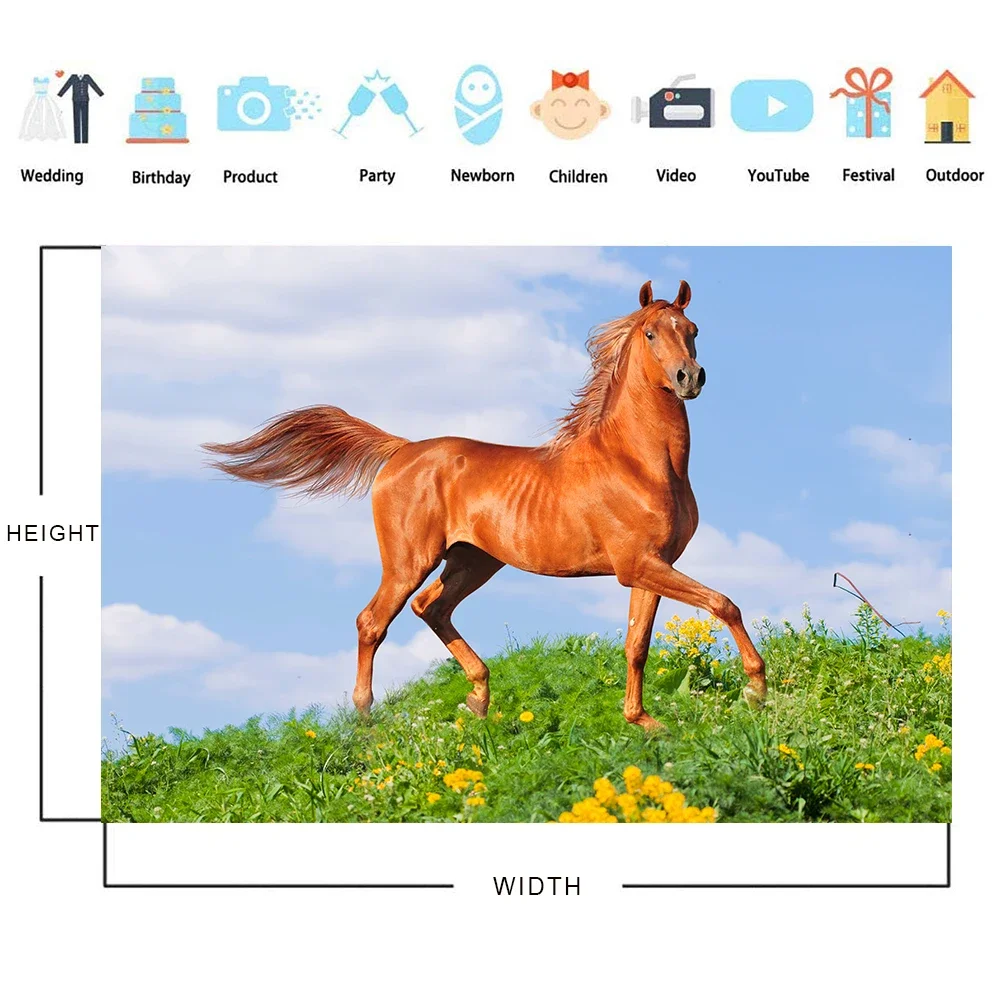 Bonvvie Fotografie Hintergrund Grünland Blue Sky Bewölkten Running Horse Kinder Photo Hintergrund Photozone für Foto Studio