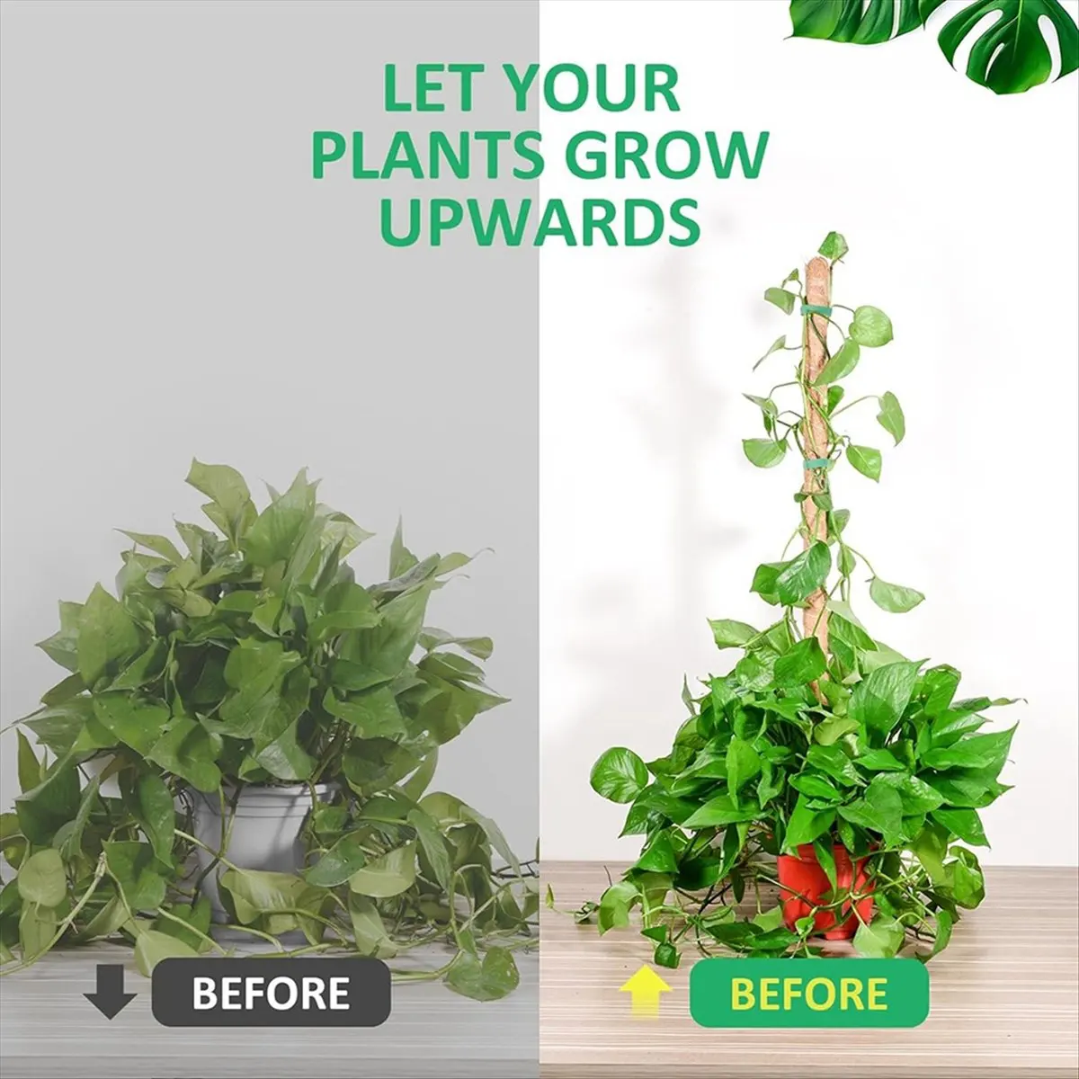 A95G Moss Pole Monstera Plant Support,Bendable Plant Stakes for Indoor Plants, Plant Sticks Support for Climbing Plant 2 Pack