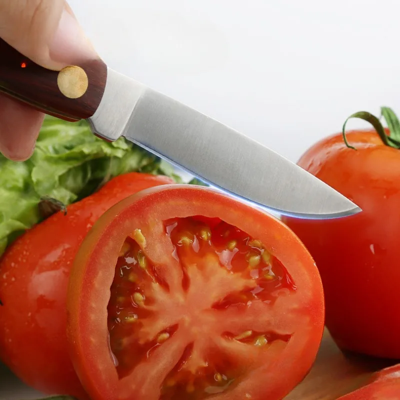 Stainless Steel Cut Fruit Knife Wooden Handle Folding Knife Household Melon Fruit Paring Vegetables Knife Pocket Knife