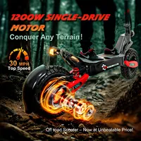 2025 EU New 1200W Dual Motor 48V 13ah Electric Scooter with 11 Inch Tires, Maximum Speed of 45 km/h, Range of 50km Scooter