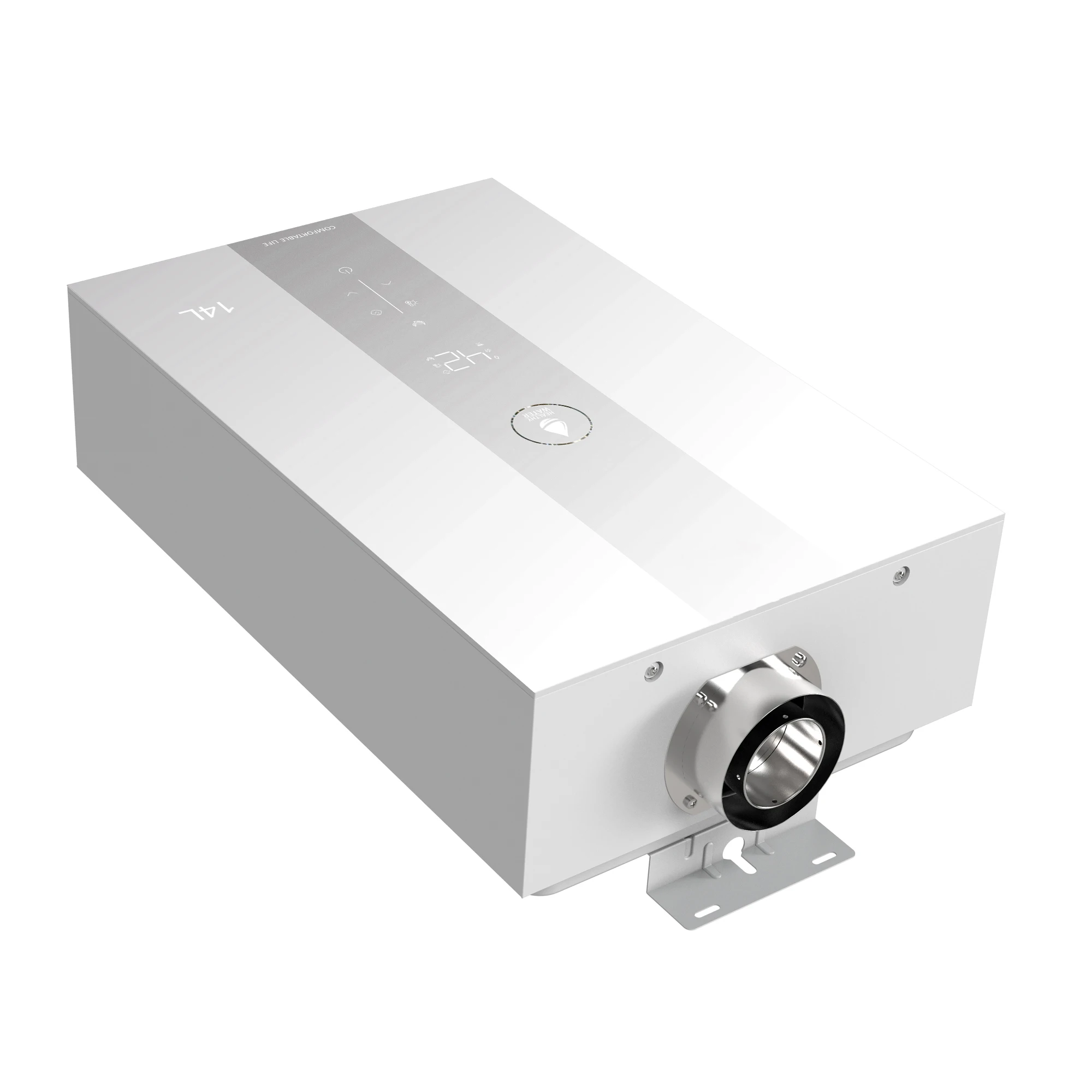 Two-level Energy Efficiency, Balanced Gas Wall-hung Boiler Natural Gas Special for Bathing Industrial Natural Gas Water Heater