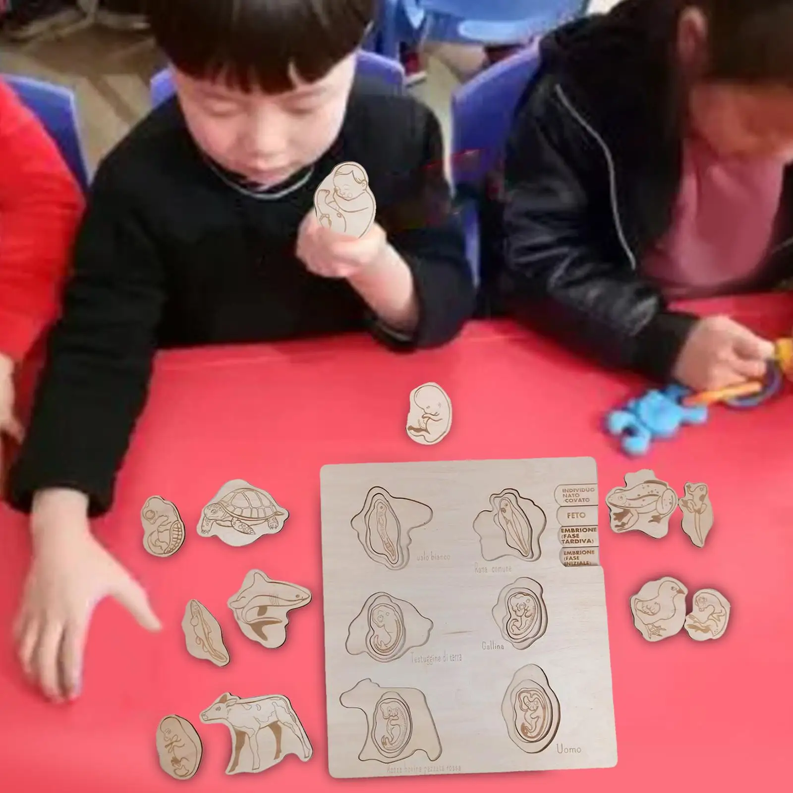 cadeaux-de-vacances-educatifs-sur-le-theme-des-sciences-pour-les-enfants-d'age-prescolaire