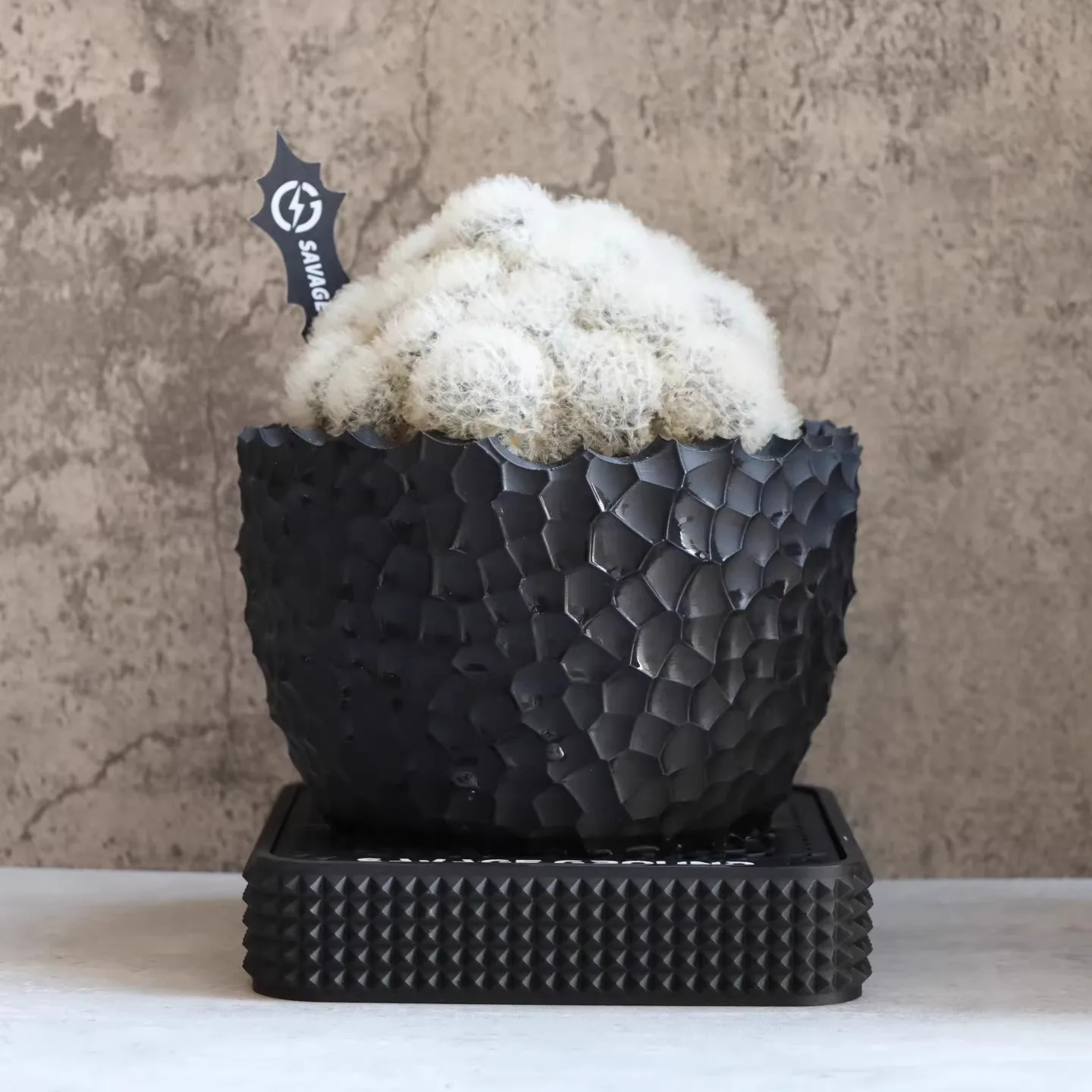 

Дышащий кашпо для суккулентов с эффектом ковки | Быстроотводящее воду кашпо для растений агавы, пачиподии и каудекса | Роскошный дизайн