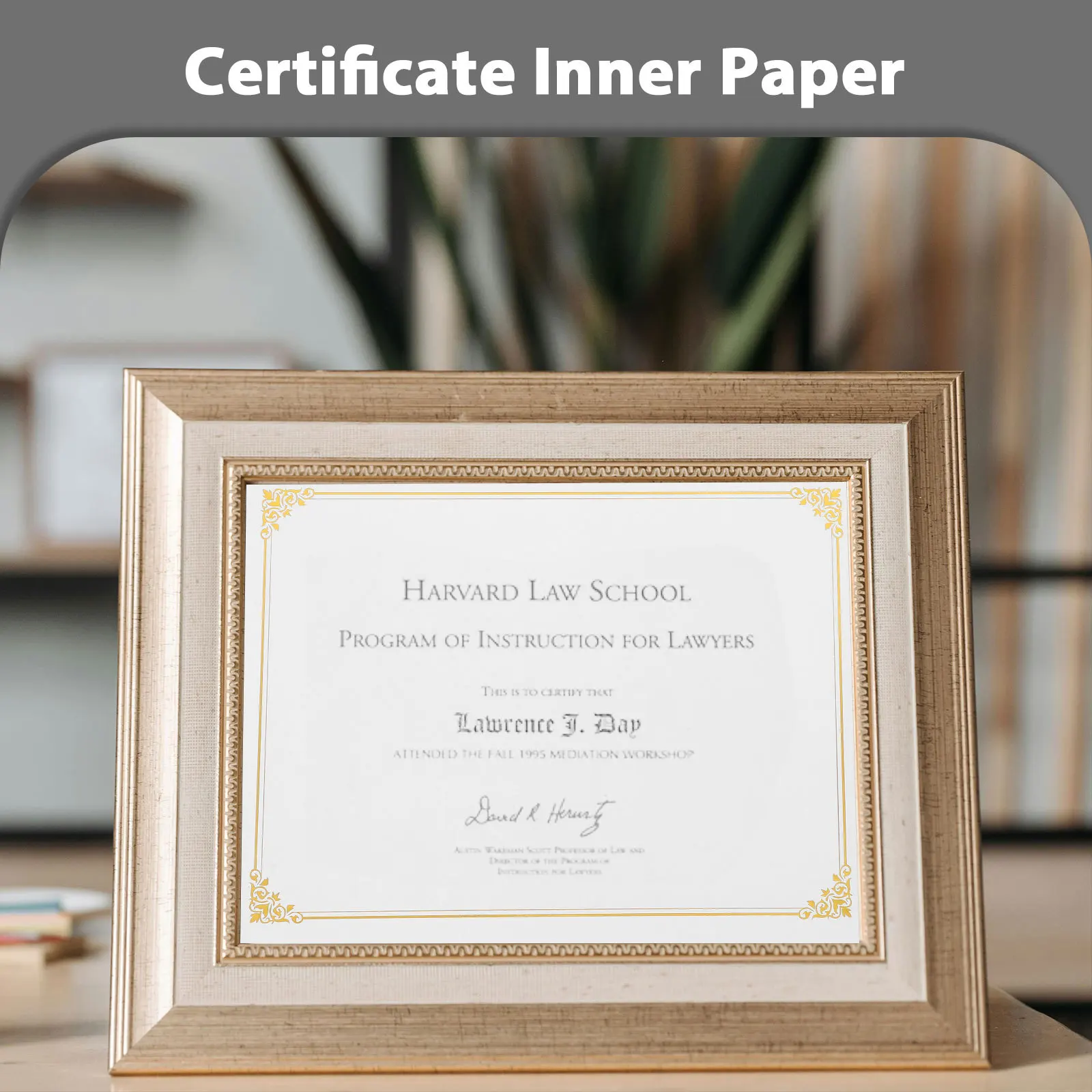 10Pcs Hot Stamping Certificate Paper Blank A4 Diploma Paper for Printable Awards Graduation Classroom Achievements