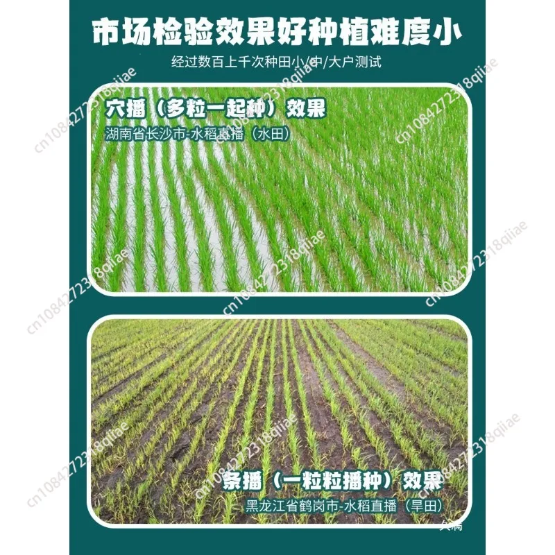 Farm Seeding Machine Hand-held Transplanting Tool Multifunction Paddy Planter Rice Drum Seeder