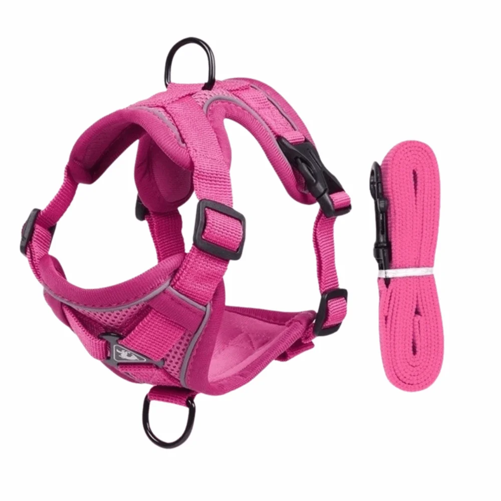 

Adjustable Cat Harness and Leash Sets Reflective Vest Style Mesh Pet Harnesses Breathable Kawaii No-Pull Chest Strap Outdoor