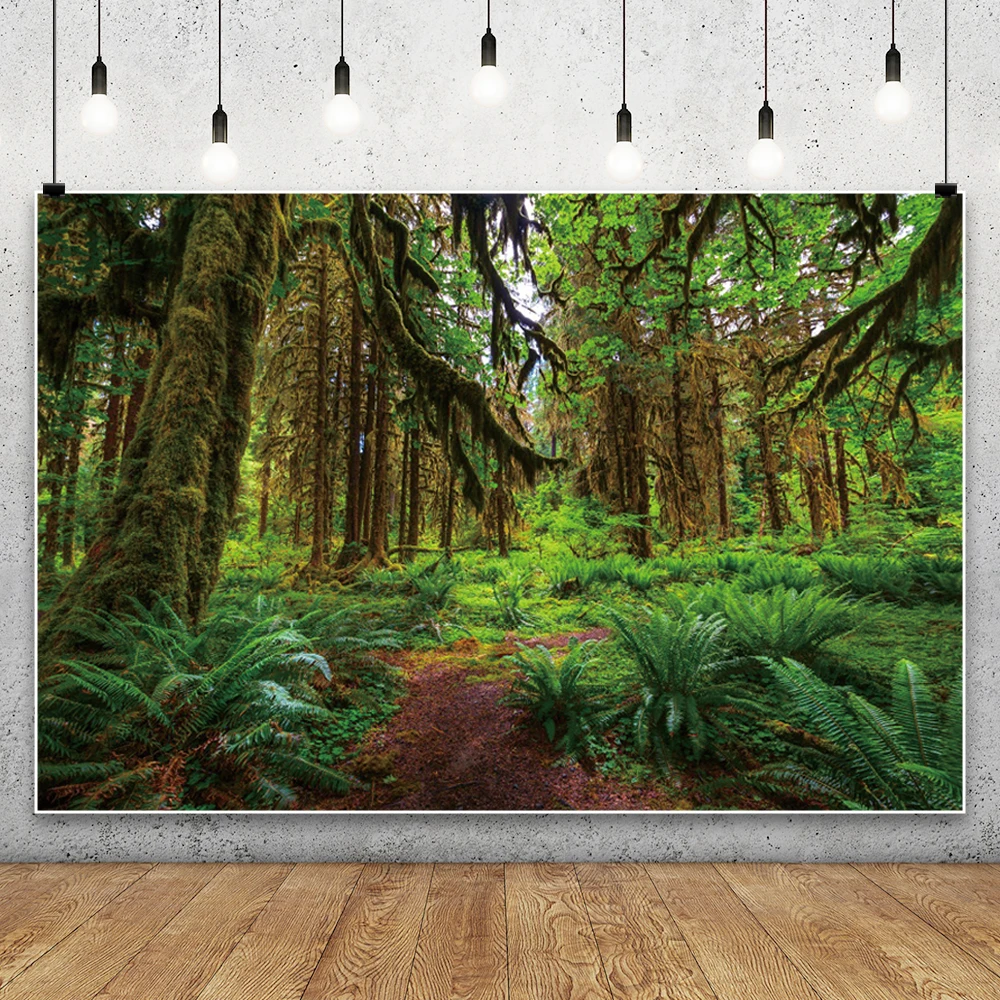 الغابة الغابات خلفيات للتصوير الفوتوغرافي الغابات المطيرة الاستوائية المناظر الطبيعية التخييم تحت عنوان استحمام الطفل الاطفال الكبار خلفية الزفاف