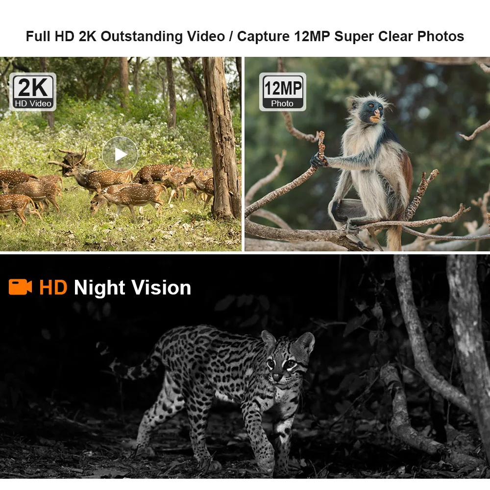 LS VISION 4MP 4G Trail Camera With Solar Panel GPS PIR Motion Detection IP66 Battery Hunting Wild Camera IR Night Vision Forest