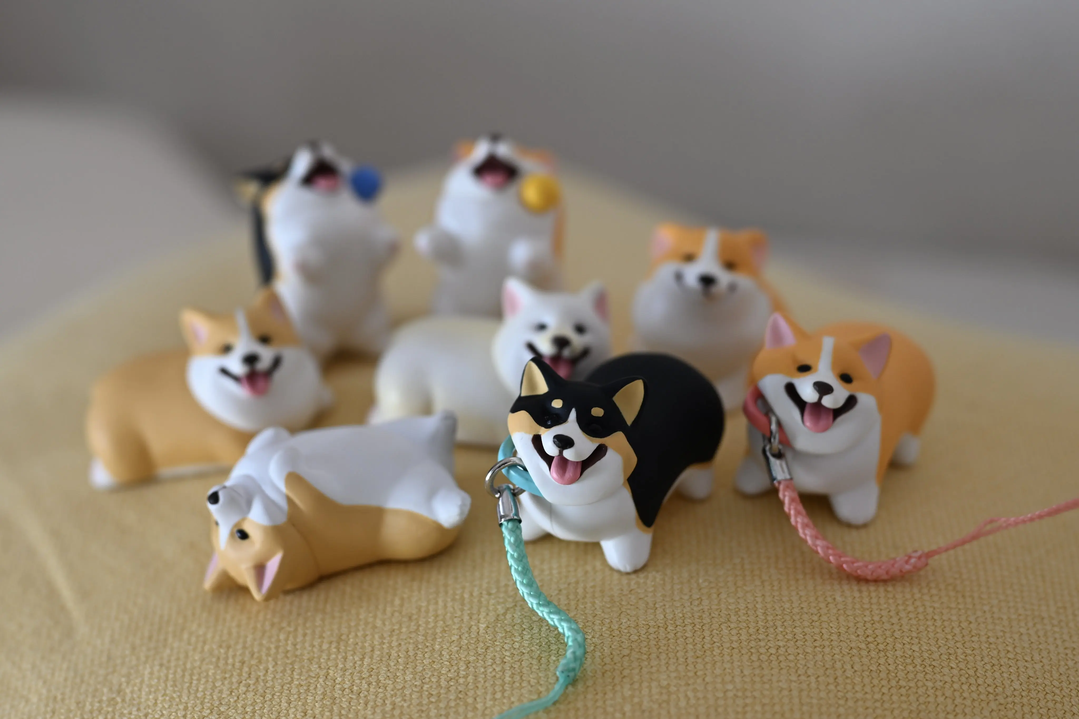 Stasto stand stone capsule toys Animal Attraction Corgi Sanpo