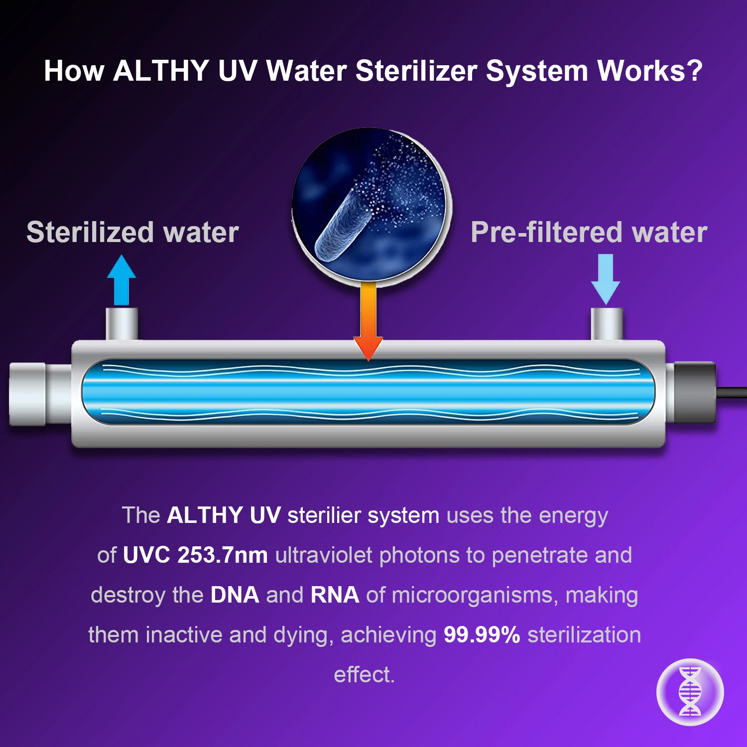 Trattamento dello sterilizzatore dell'acqua UV ultravioletta ALTHY per il sistema di purificazione del filtro della cucina/caffè-tubo della lampada 6GPM 25W-acciaio inossidabile